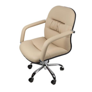 Deluxe Client Chair