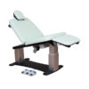 100 Series Procedure Chair