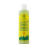 Citronella Shampoo/Shower Gel