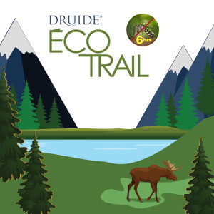 Ecotrail